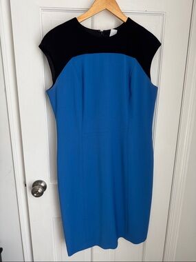 Brooks Brothers Blue and Black Cap-Sleeve Sheath Dress
